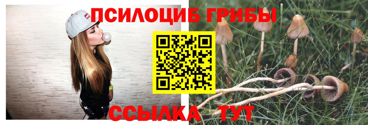 Псилоцибиновые грибы ЛСД Урай